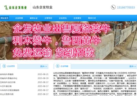 成功的企业都在选择云推广系统